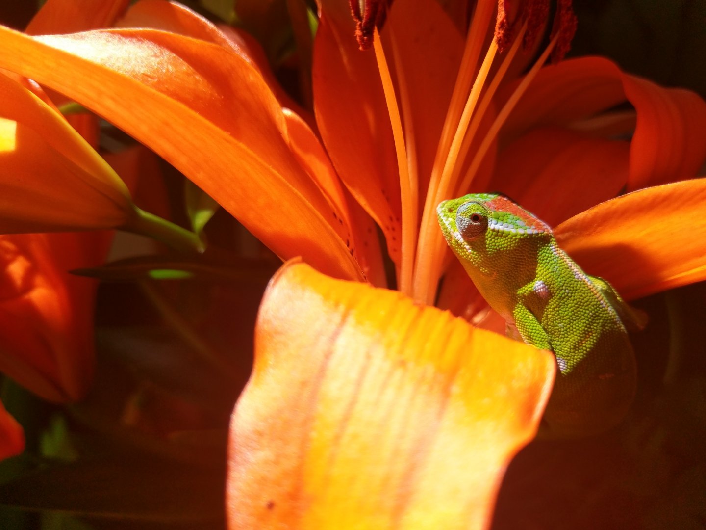 IMAG0917.jpg
