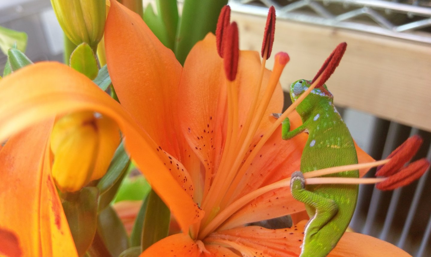 IMAG0929.jpg
