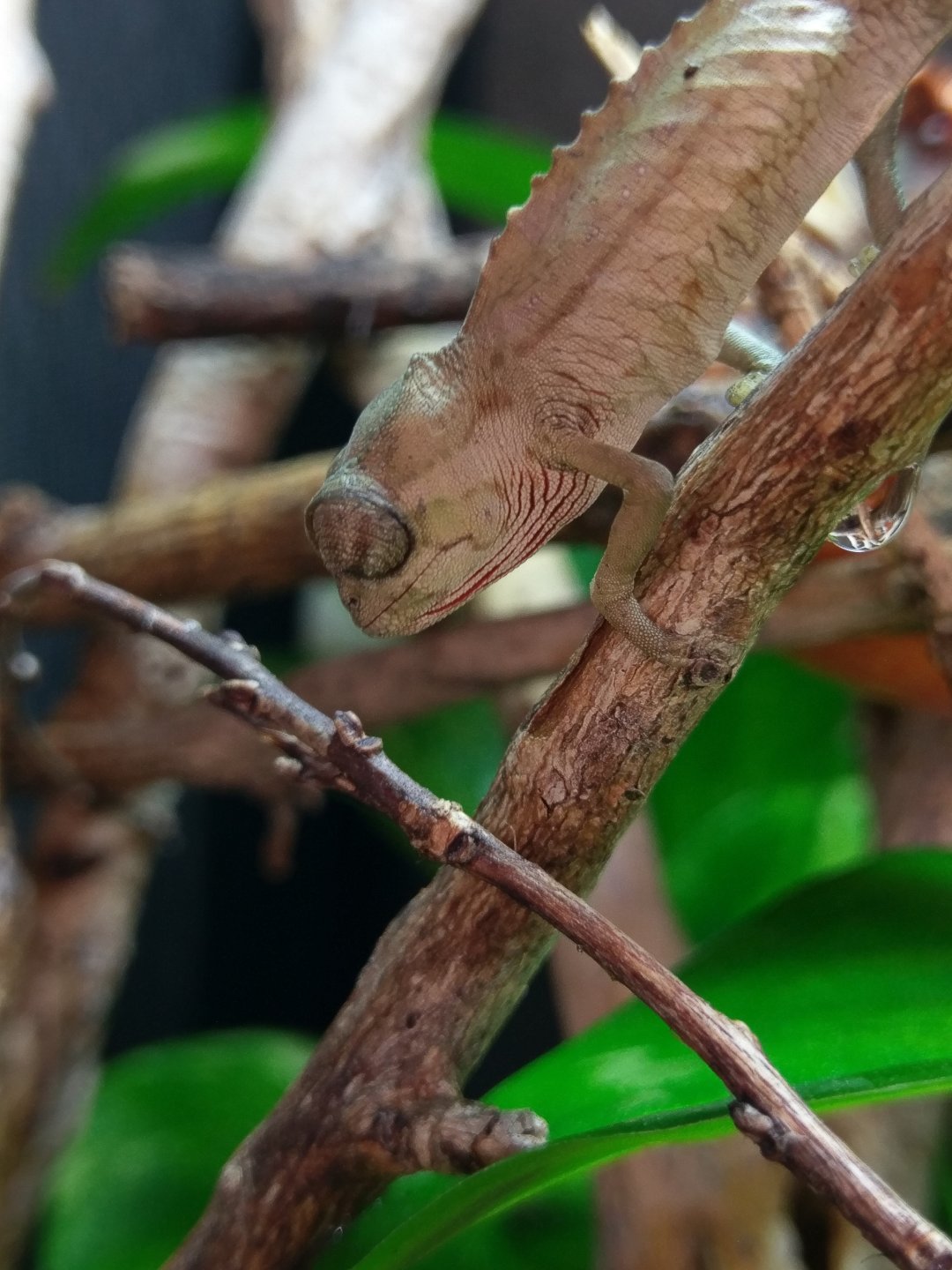 IMAG0957.jpg