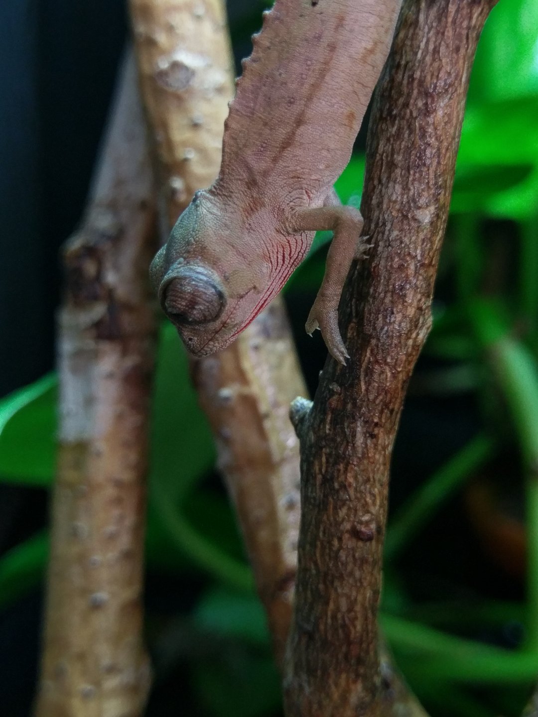 IMAG0962.jpg