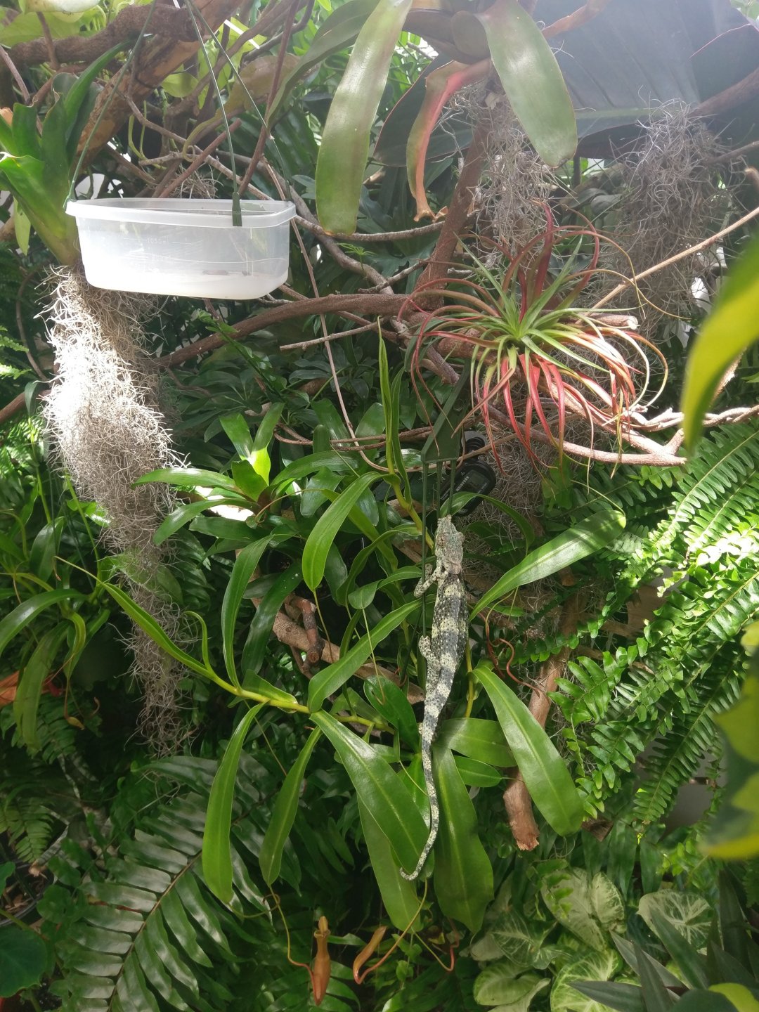 IMAG0992.jpg