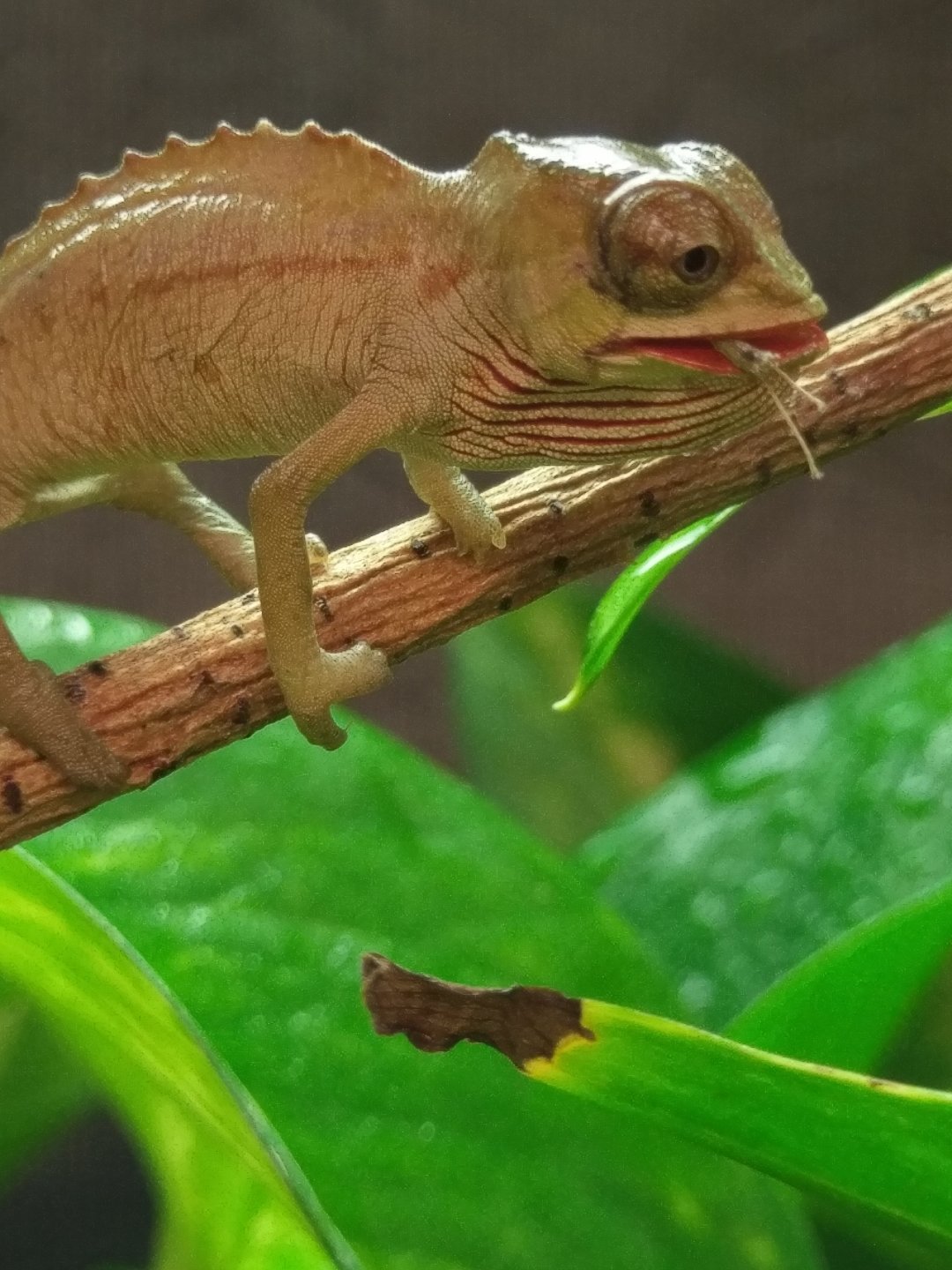 IMAG1245.jpg
