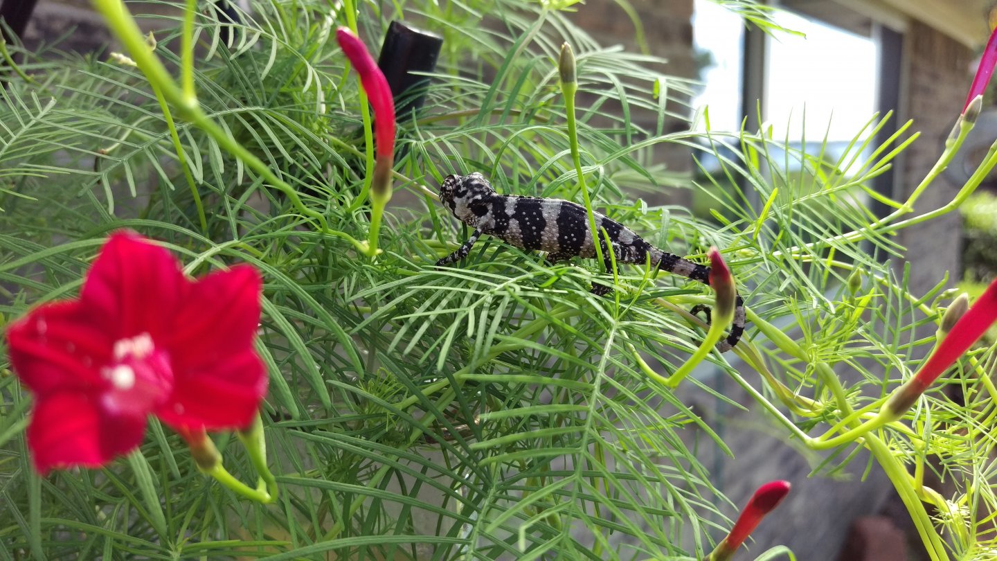 IMAG3016.jpg