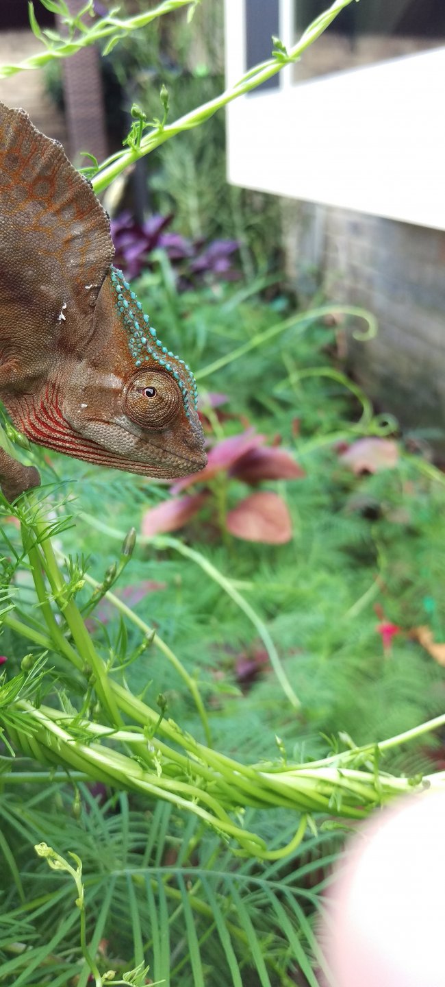 IMAG3056.jpg