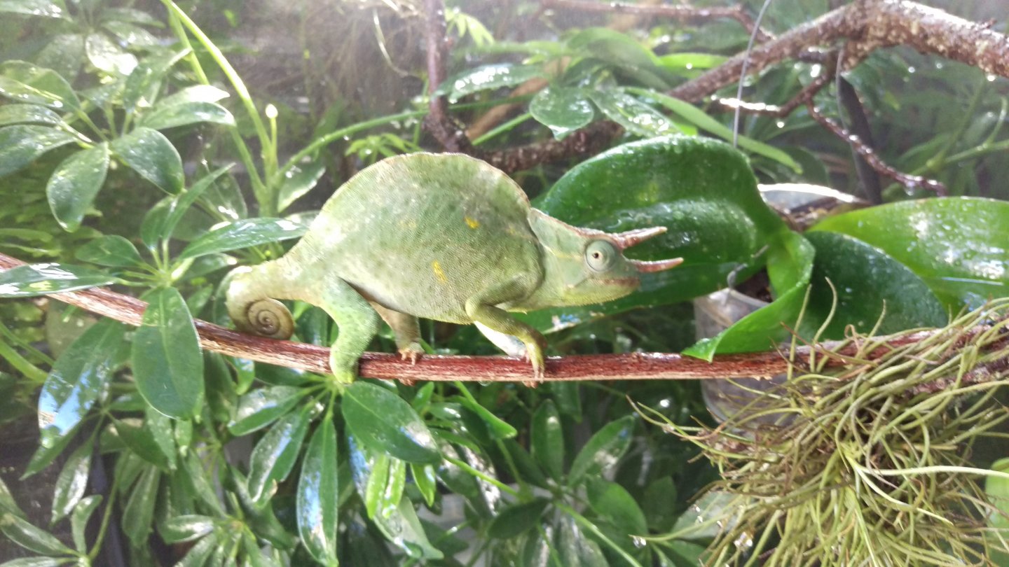 IMAG3574.jpg