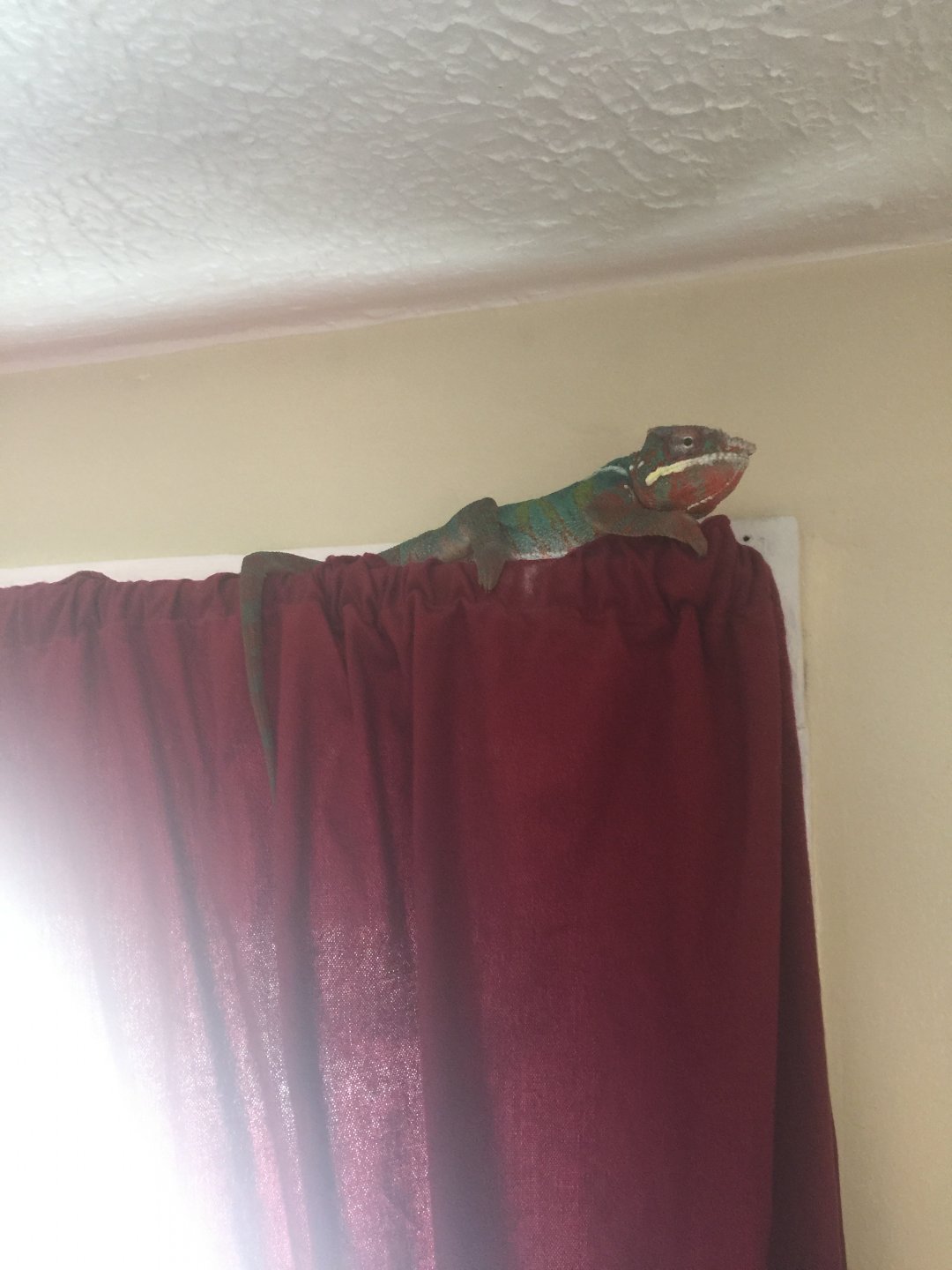 image.jpeg