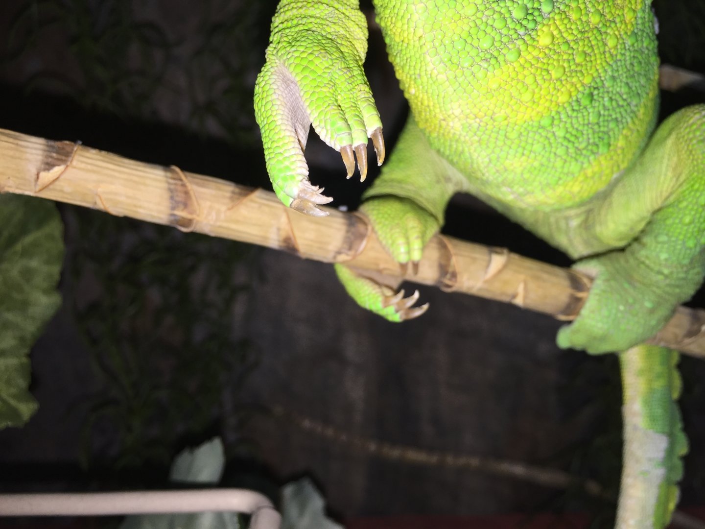 image.jpeg