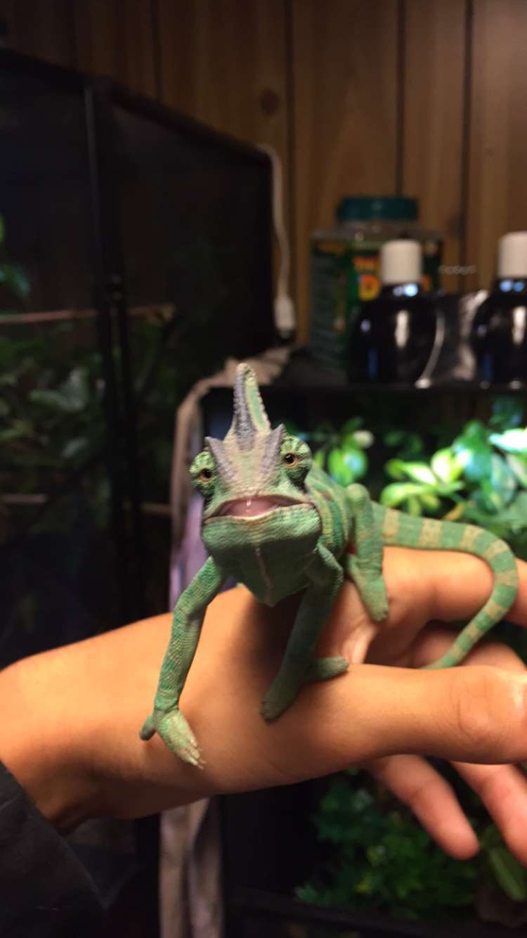 image.jpeg