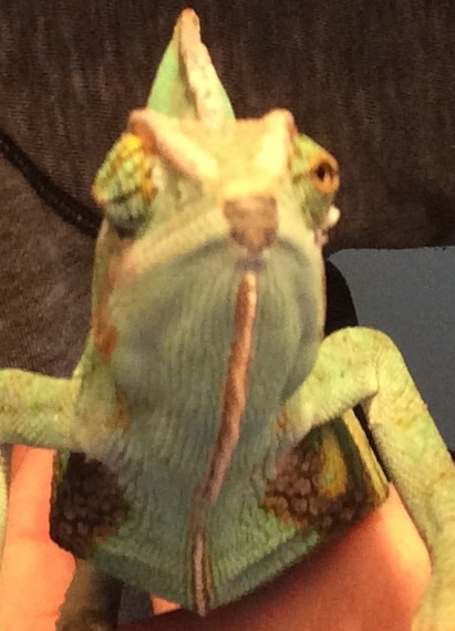 image.jpg