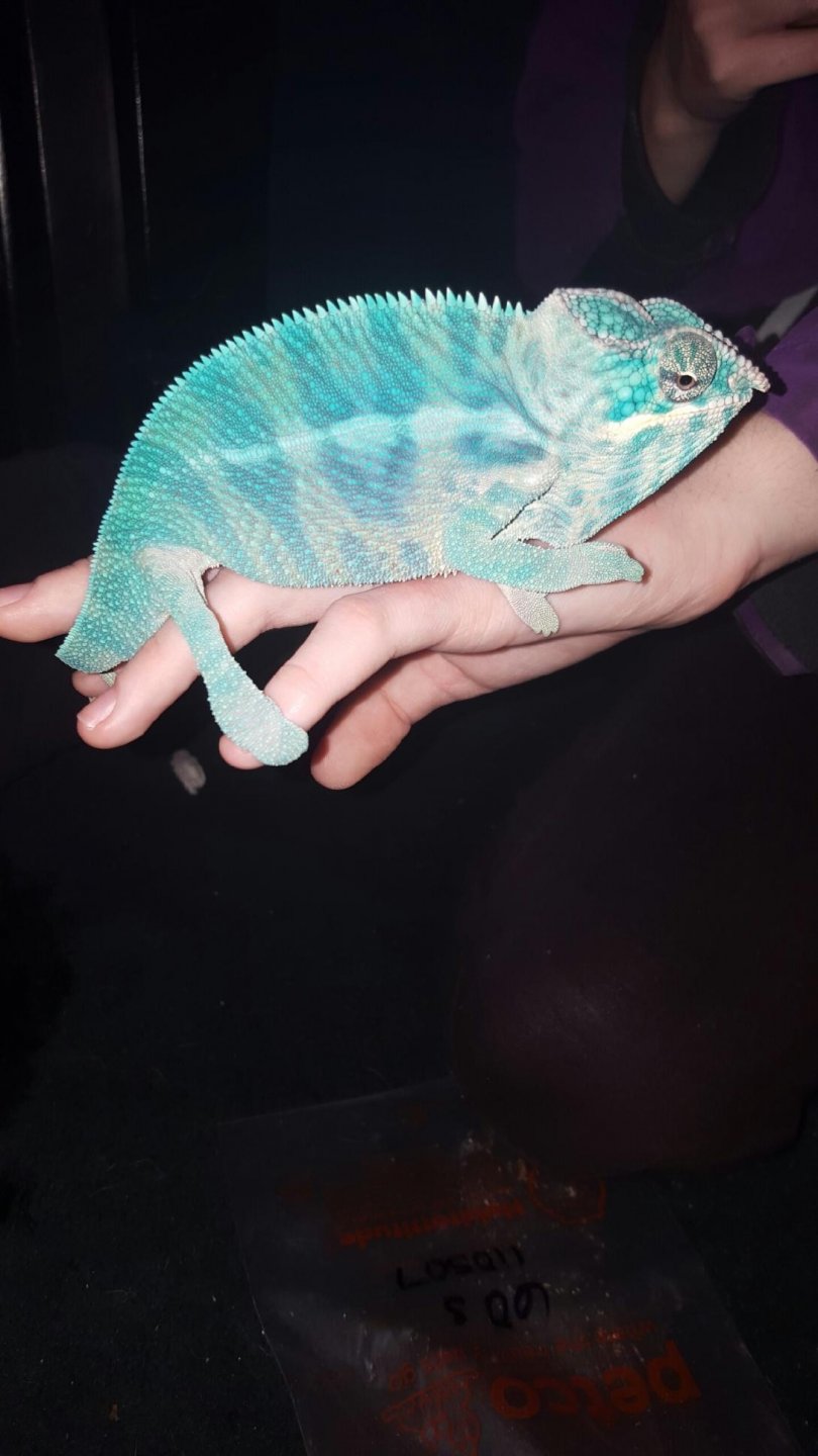 image.jpg