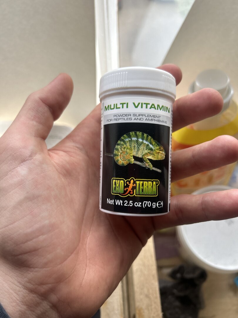 image.jpg