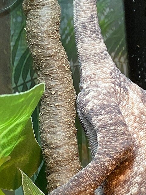 image0.jpeg