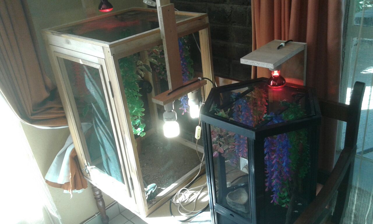 IMG-20160423-WA0000.jpg