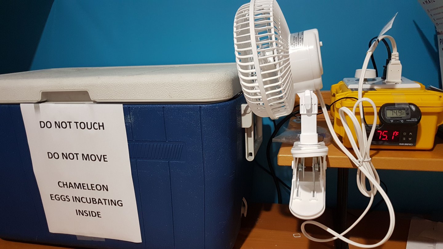IMG-20180628-WA0001.jpeg