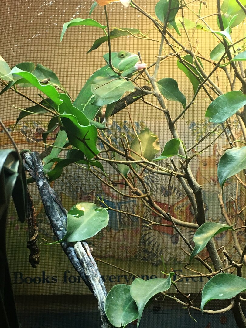 IMG-3673.JPG