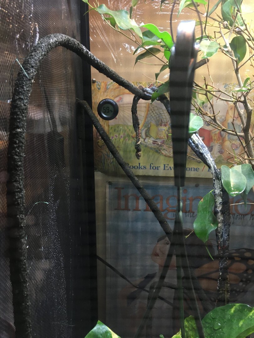 IMG-3700.JPG