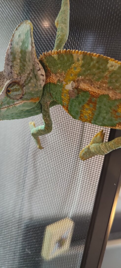 IMG20201207114134.jpg