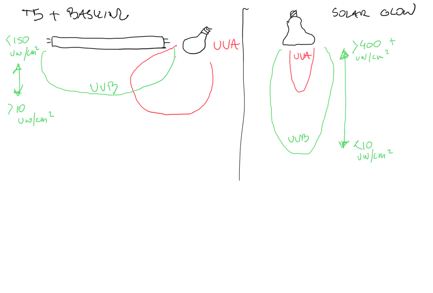 IMG_0138.png