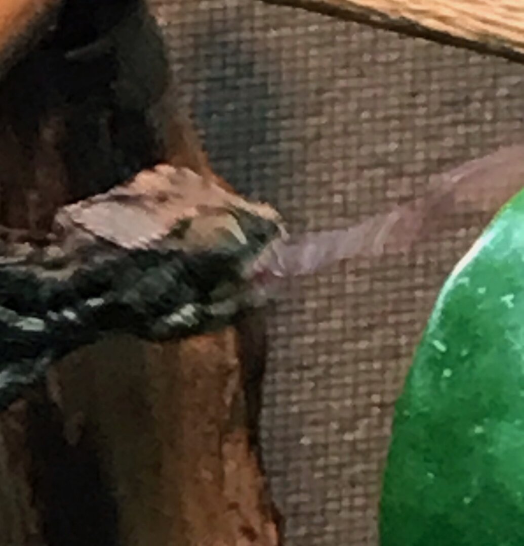 IMG_0476.jpeg