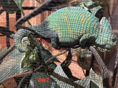 IMG_0647.jpeg