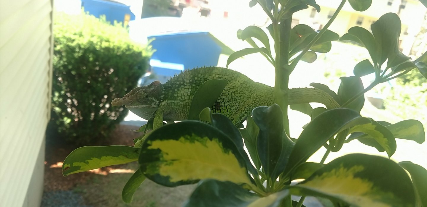 IMG_20170707_180229_01.jpg