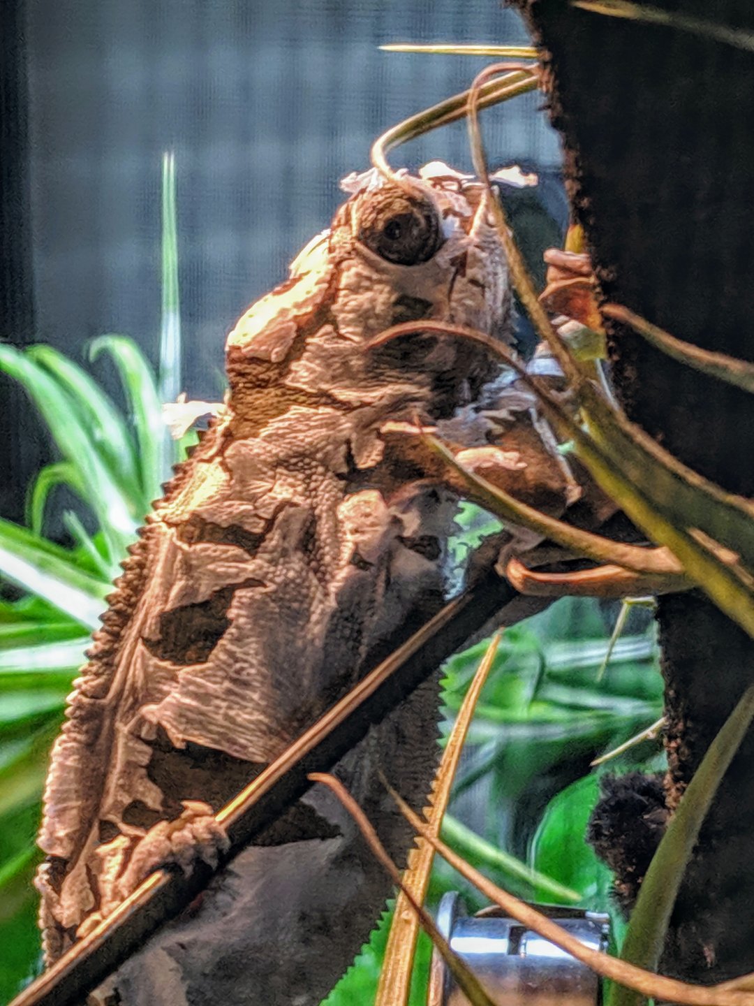 IMG_20190225_093521.jpg