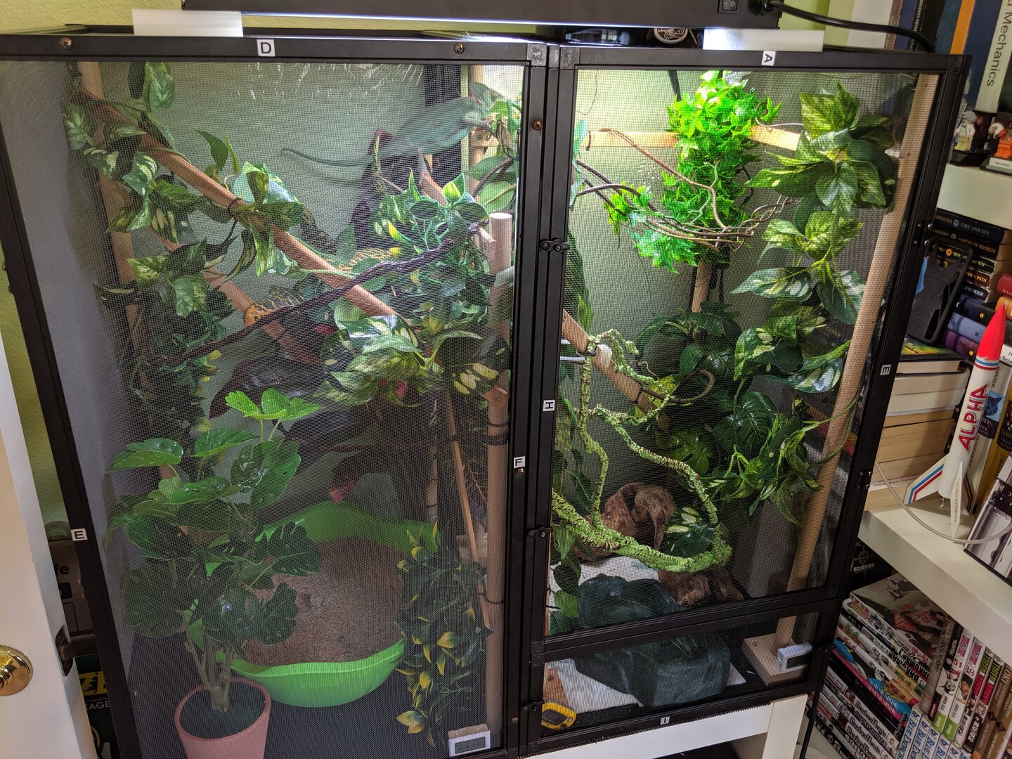 Grow Lights  Chameleon Forums