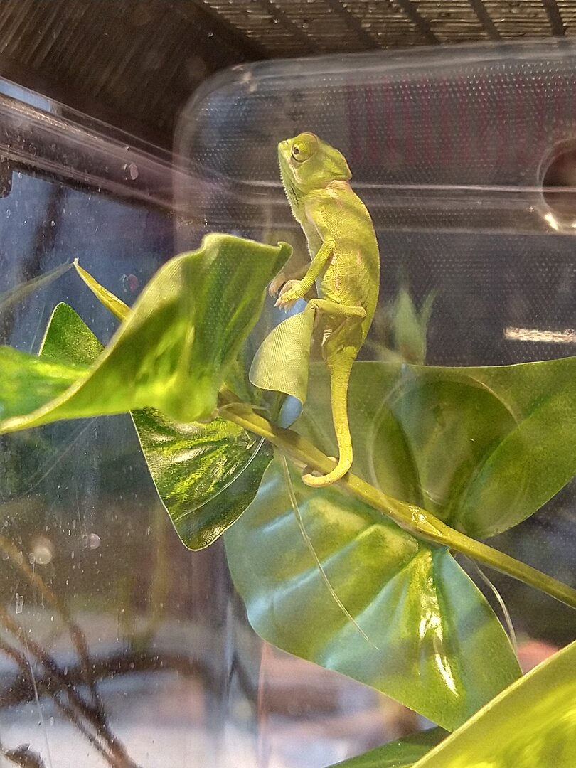 IMG_20200724_180318726_HDR.jpg