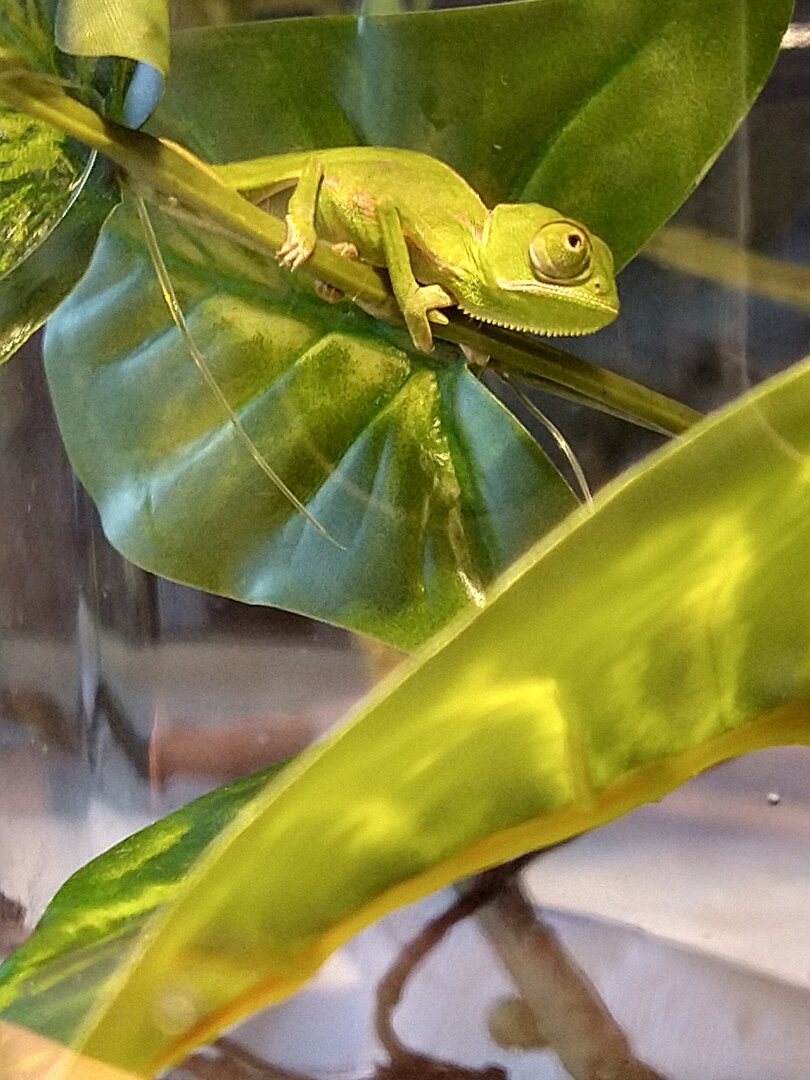 IMG_20200724_180743006_HDR.jpg