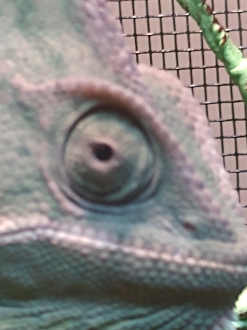 IMG_20201019_203411873.jpg