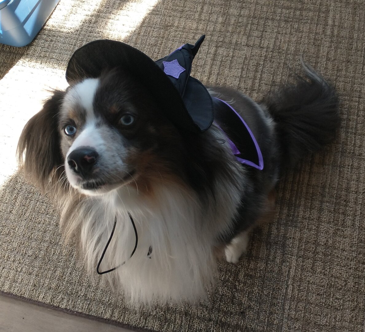 IMG_20231027_122134126_BURST009 (1).jpg