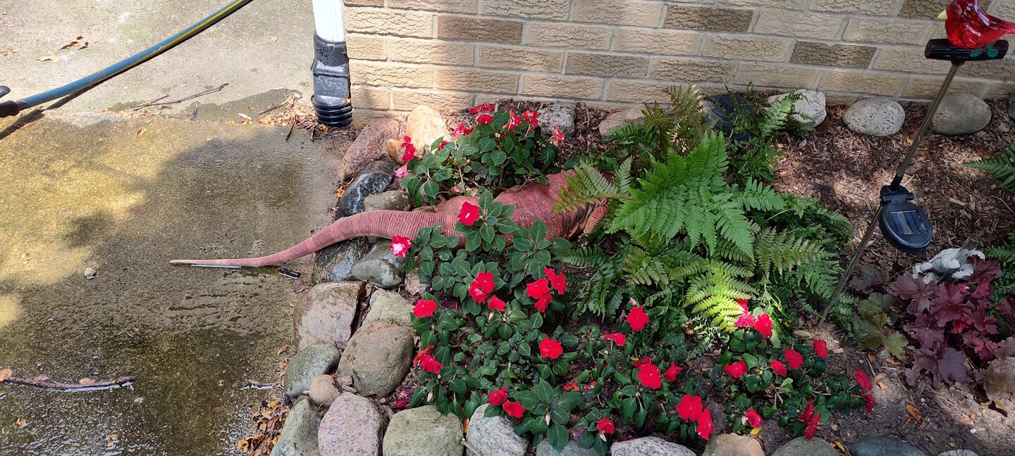 IMG_20250810_140510256_HDR.jpg