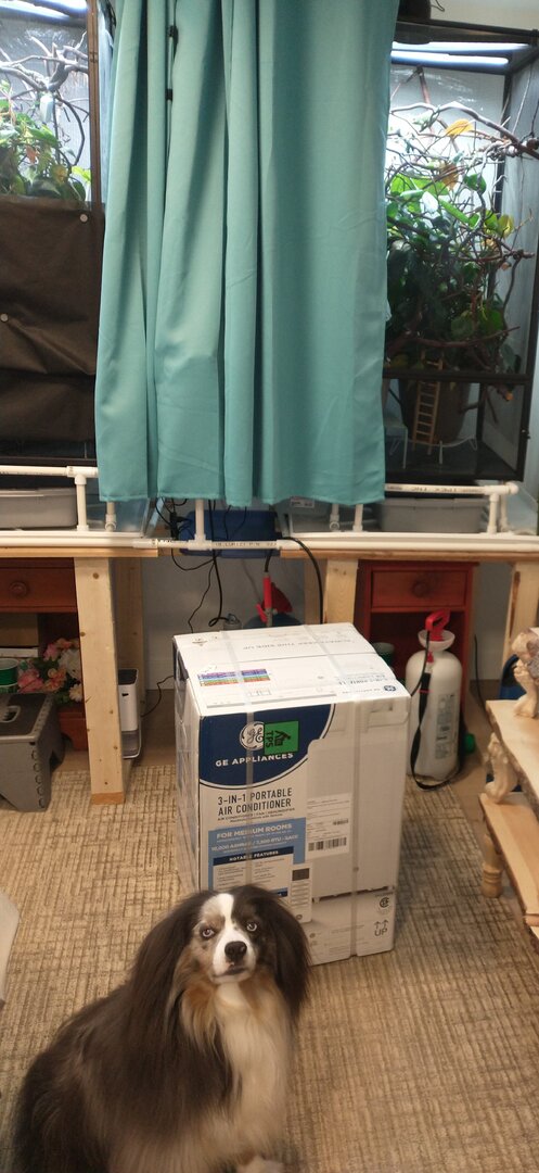 IMG_20260426_151138988 (1).jpg