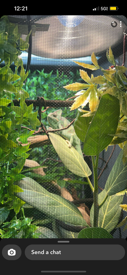IMG_2601.png