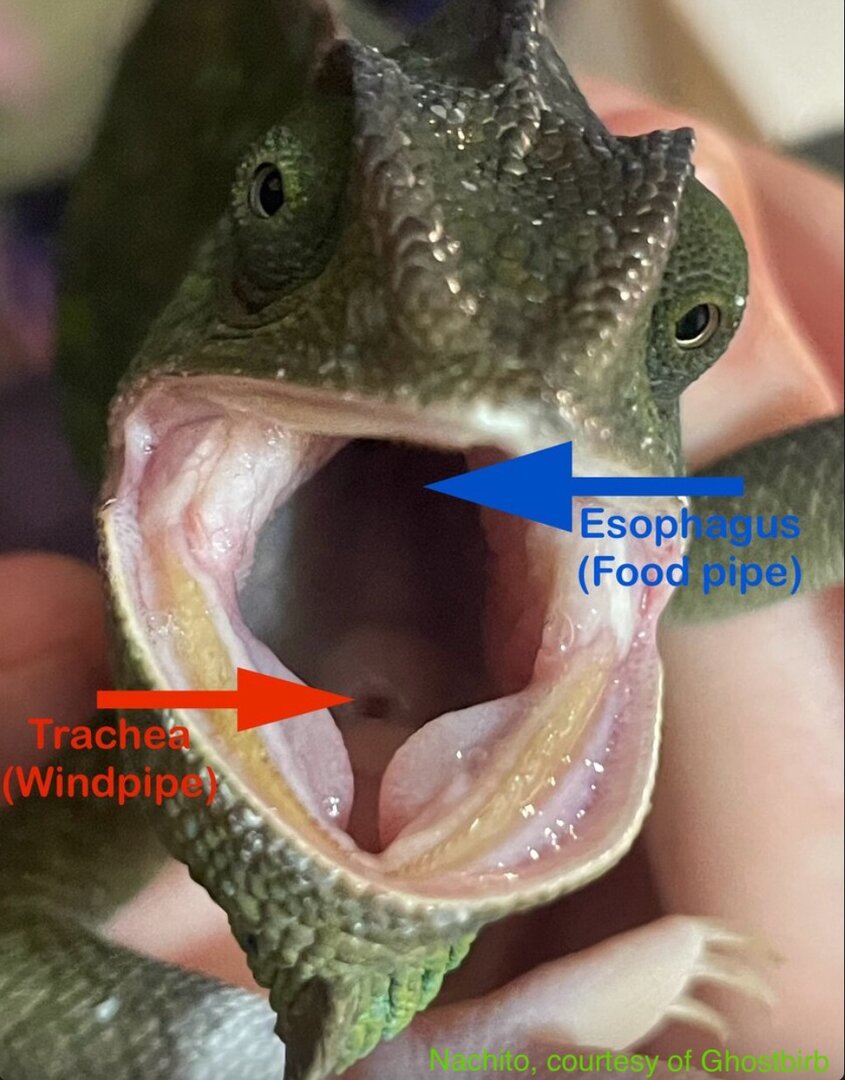 IMG_3669.jpeg