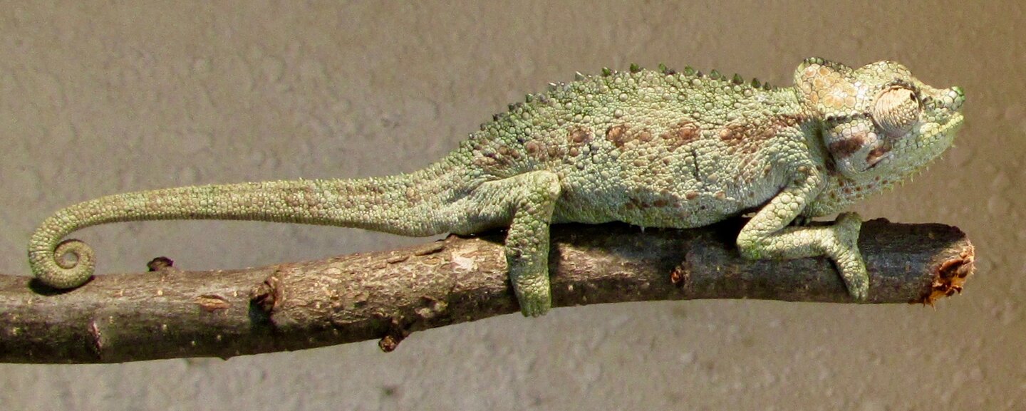 IMG_3828.jpg