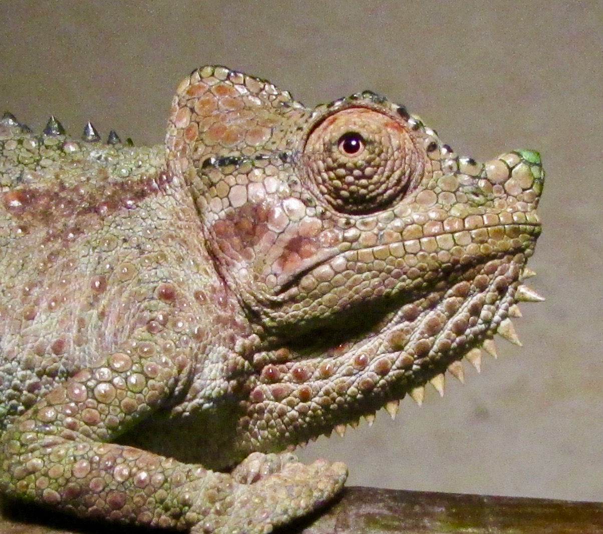 IMG_3835.jpg