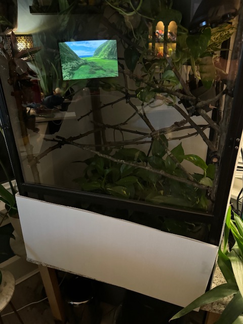 IMG_8009.jpeg