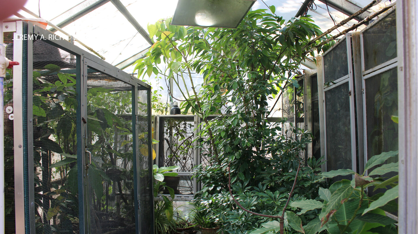 InsideGreenhouseSeptember2025.JPG