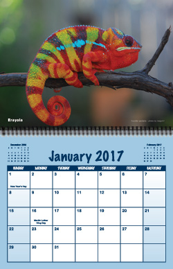 jan17_thumb1.jpg