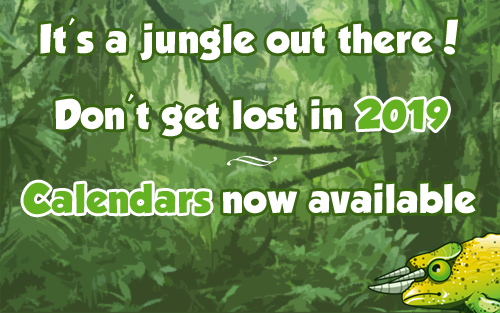 jungle2019.jpg