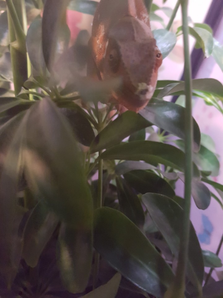 KakaoTalk_20170429_035315915.jpg