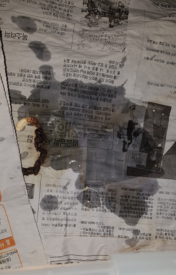 KakaoTalk_20170429_035316314.jpg
