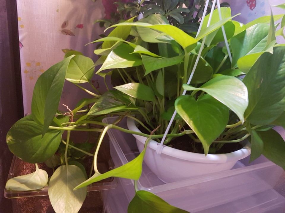 KakaoTalk_20170430_002722068.jpg