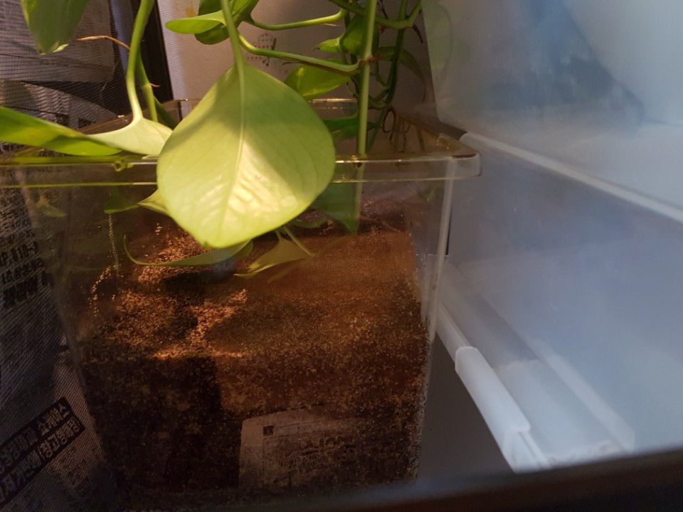KakaoTalk_20170430_002722375.jpg