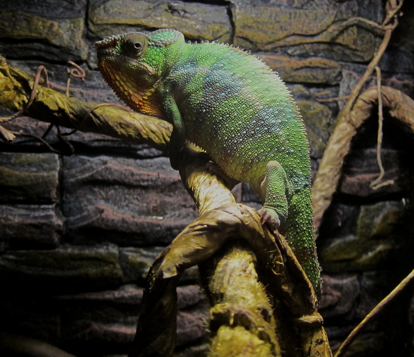 karma pixel dec 26 2017 b.jpg