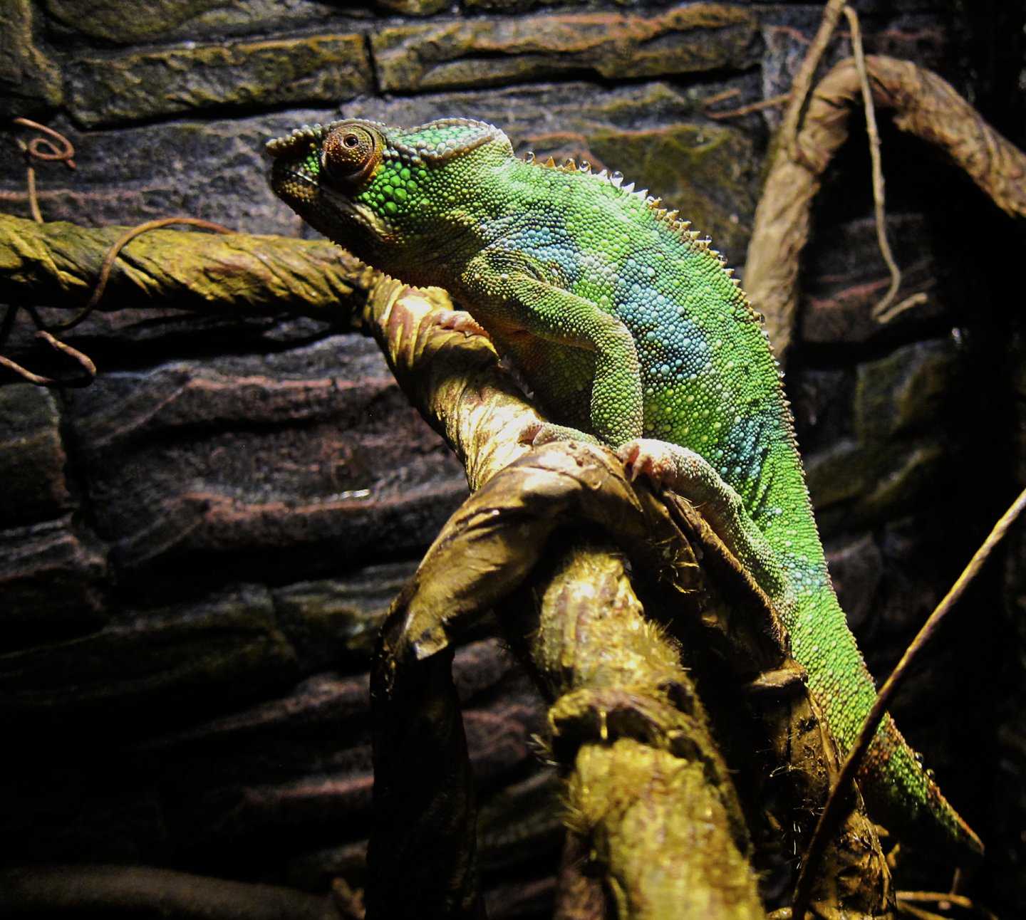 karma pixel dec 26 2017 c.jpg