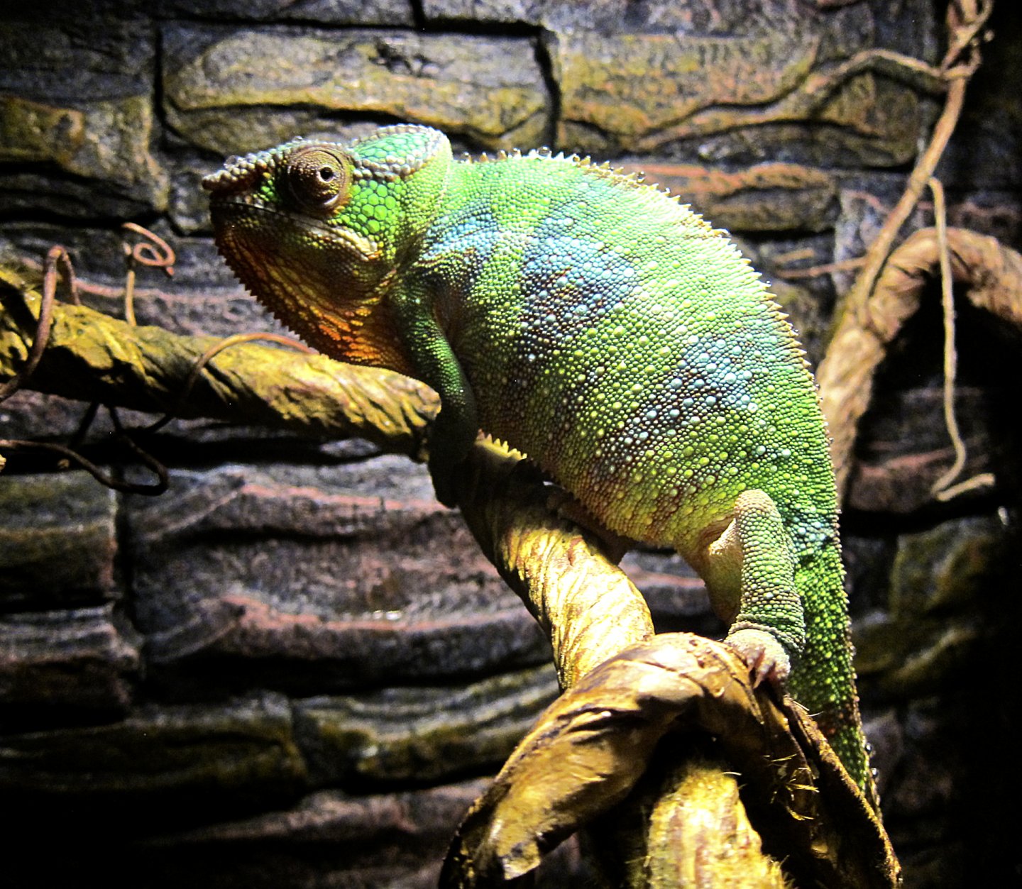 karma pixel dec 26 2017 d.jpg