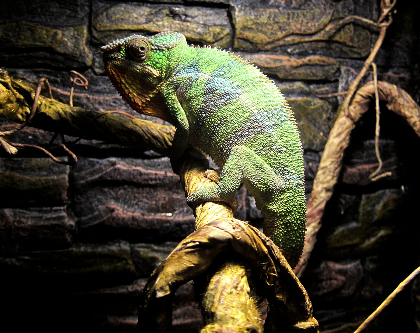 karma pixel dec 26 2017 e.jpg