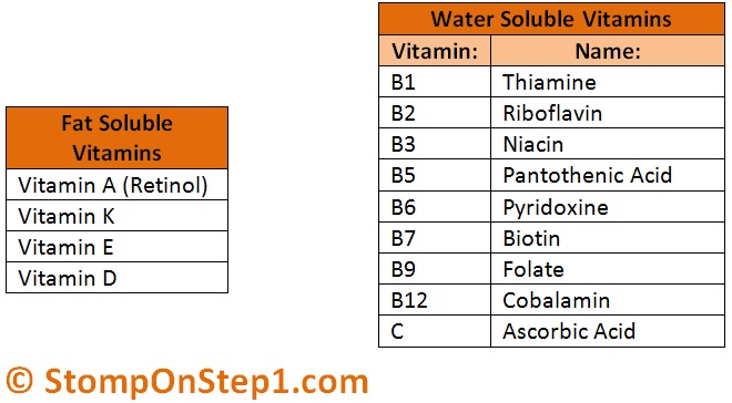 List-of-Fat-Solbule-Water-Solbule-Vitamins.jpg